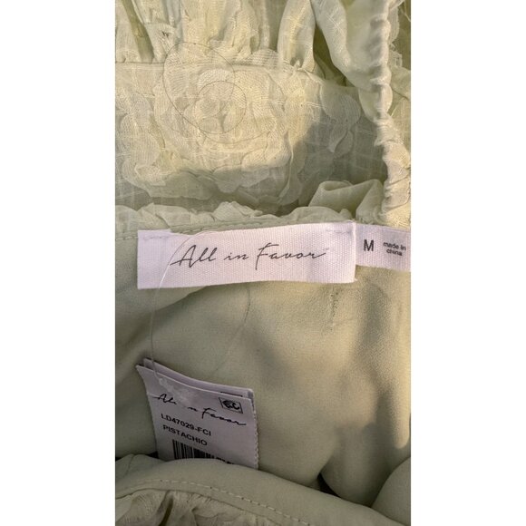 NWT All In Favor Medium Pistachio Ruffled Mini Dress Open Back & Adjustable Tie - Picture 2 of 16